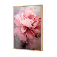 Peonies 2