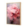 Peonies 2