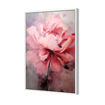 Peonies 2
