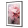 Peonies 2