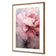 Peonies 2