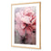 Peonies 2