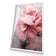 Peonies 2