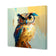 A Real Hoot