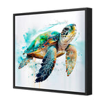 Sea Turtle Spotlight