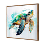 Sea Turtle Spotlight