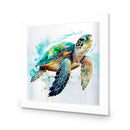 Sea Turtle Spotlight