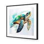 Sea Turtle Spotlight