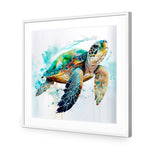 Sea Turtle Spotlight