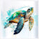 Sea Turtle Spotlight