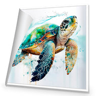 Sea Turtle Spotlight