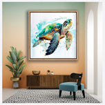 Sea Turtle Spotlight