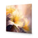 Fleeting Flowers IV