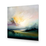 Soft Horizon