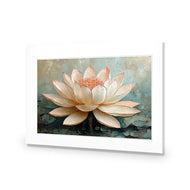 Lotus Blossom