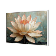 Lotus Blossom