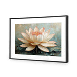 Lotus Blossom