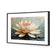 Lotus Blossom