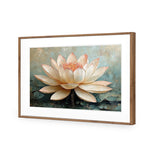 Lotus Blossom