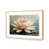 Lotus Blossom