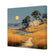 Australiana 6