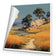 Australiana 6