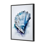 Watercolour Shell I