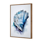 Watercolour Shell I