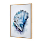 Watercolour Shell I