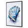 Watercolour Shell I