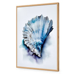 Watercolour Shell I