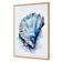 Watercolour Shell I
