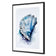 Watercolour Shell I