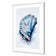 Watercolour Shell I
