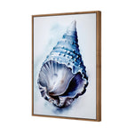 Watercolour Shell II
