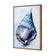 Watercolour Shell II