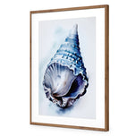 Watercolour Shell II
