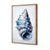 Watercolour Shell III