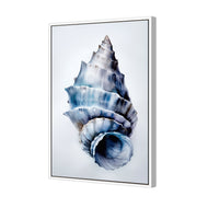 Watercolour Shell III