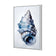 Watercolour Shell III