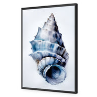 Watercolour Shell III