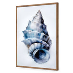 Watercolour Shell III