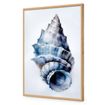 Watercolour Shell III