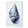 Watercolour Shell III
