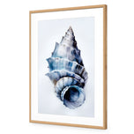 Watercolour Shell III