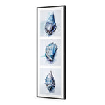 Watercolour Shell Montage