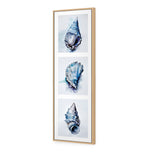 Watercolour Shell Montage