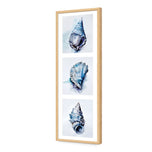 Watercolour Shell Montage