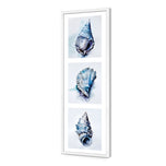Watercolour Shell Montage