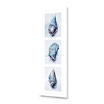 Watercolour Shell Montage